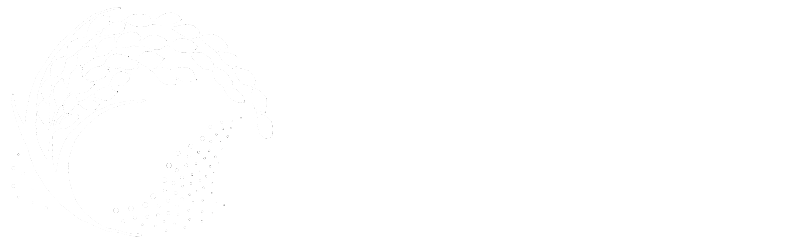 茅野農園 chino noen