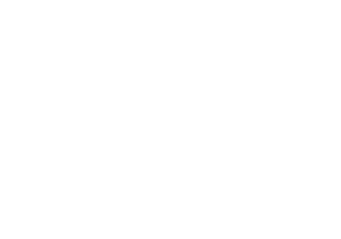 licca glass