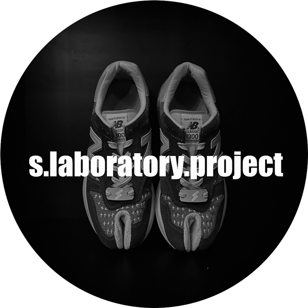 Repair Price S laboratory project repair-price-s-laboratory-project