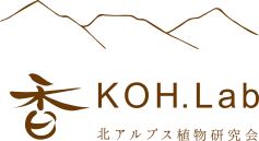 香KOH.Lab