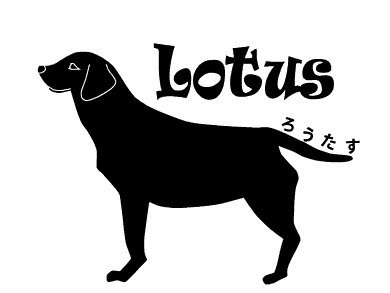 doglotus