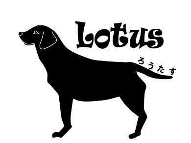 doglotus