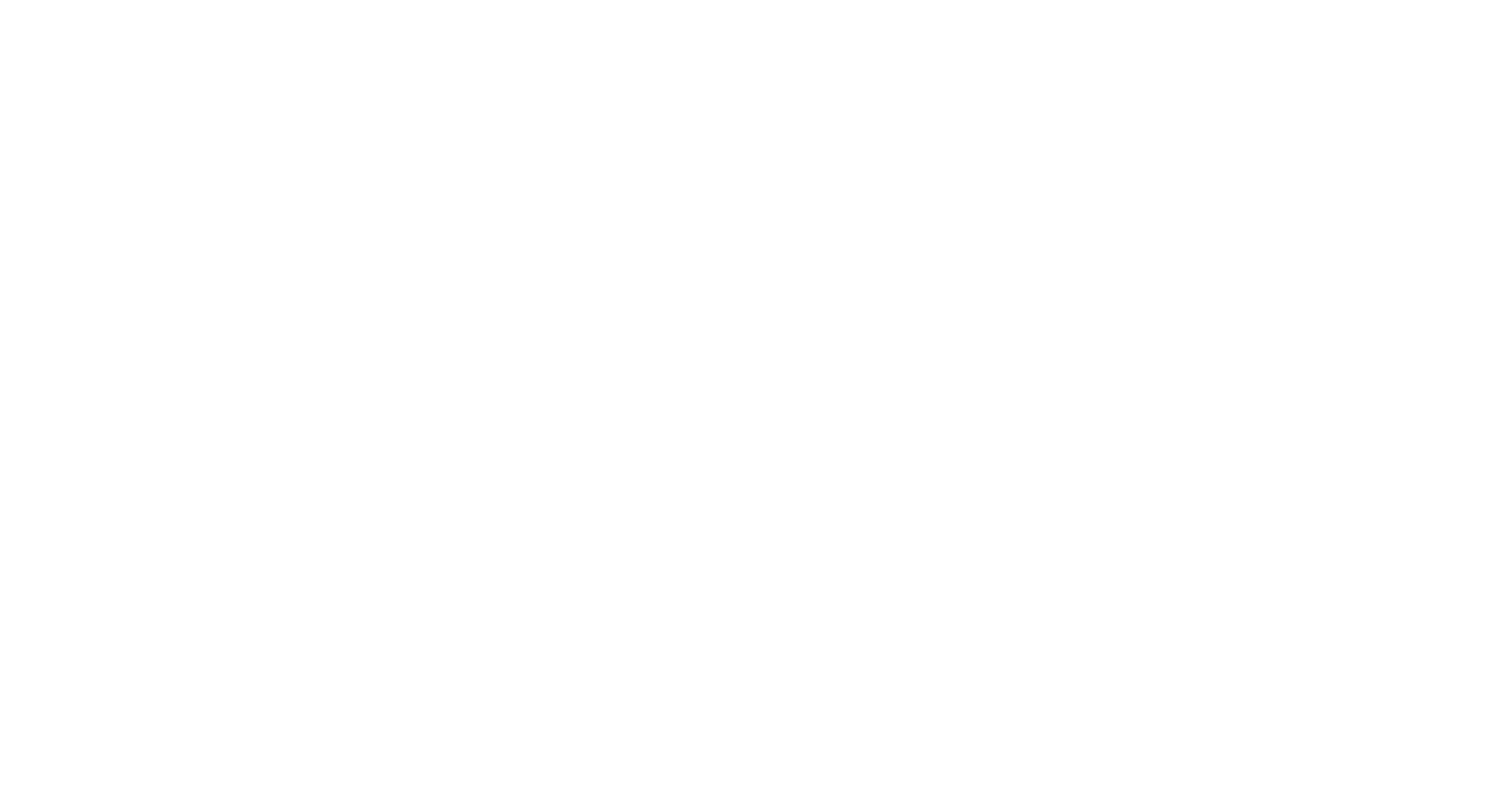 S1