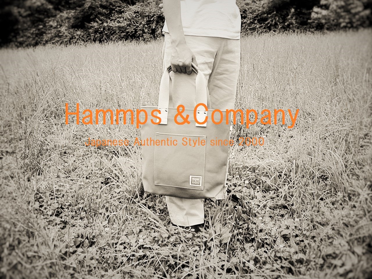 Hammps & Company 