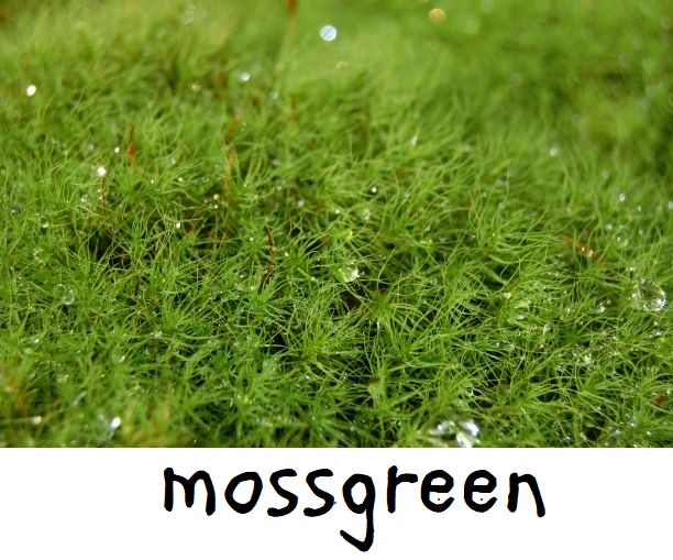 mossgreen