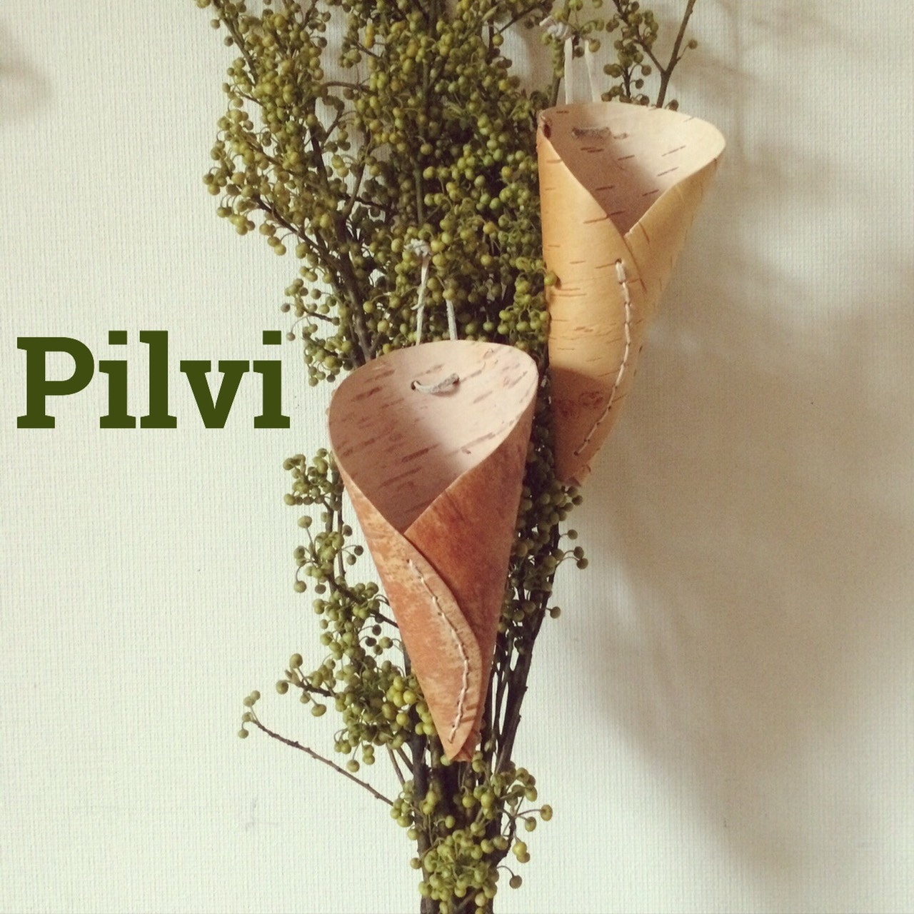 Pilvi ピルヴィ