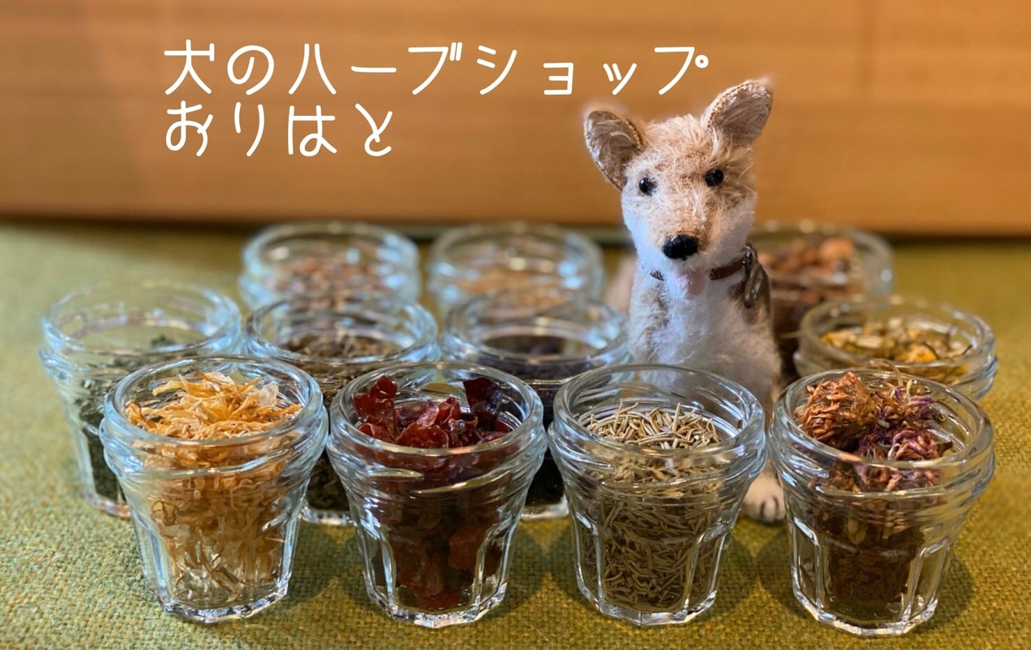 犬のハーブショップ　おりはと