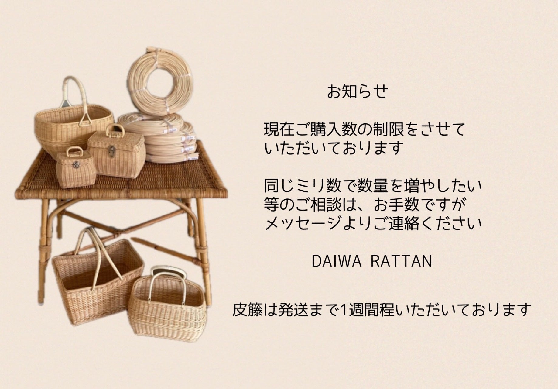 DAIWA RATTAN