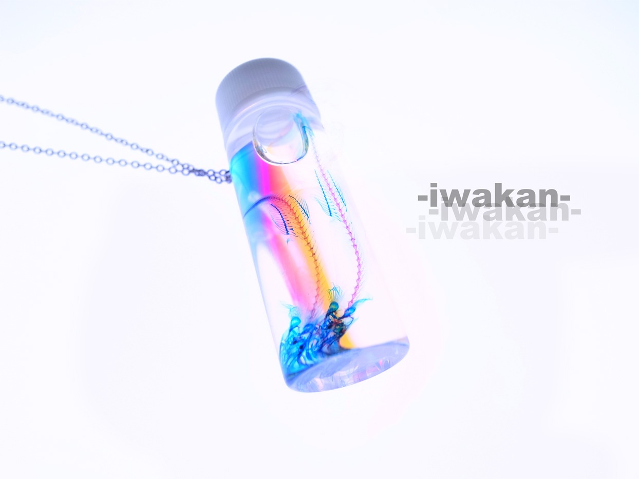 -iwakan-