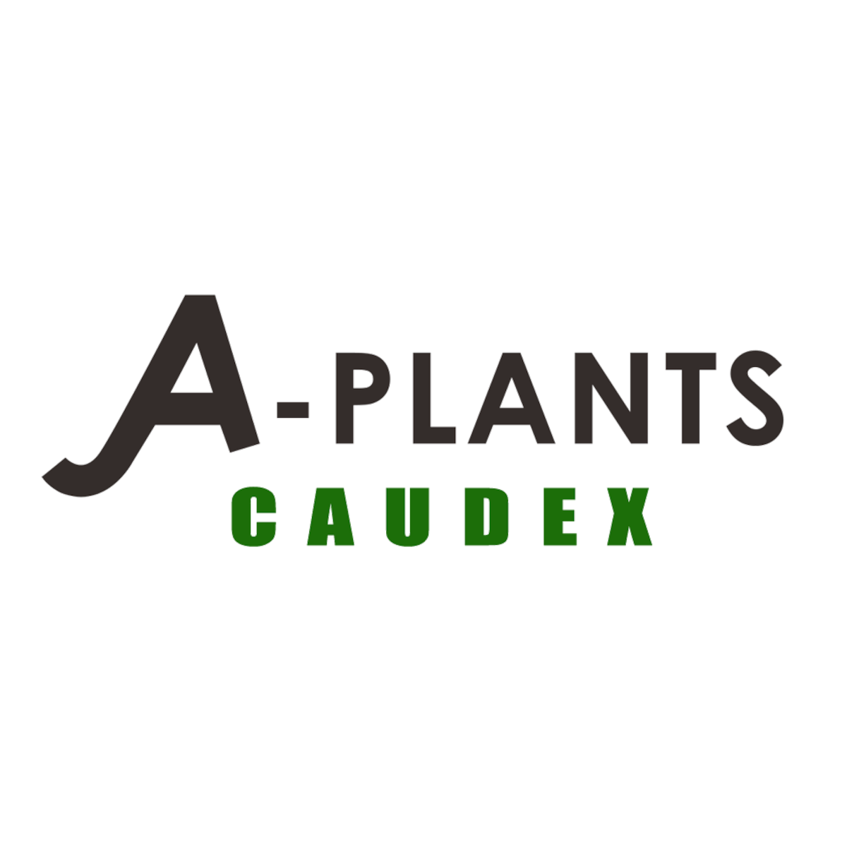 アパレル | A-PLANTS アパレル | A-PLANTS