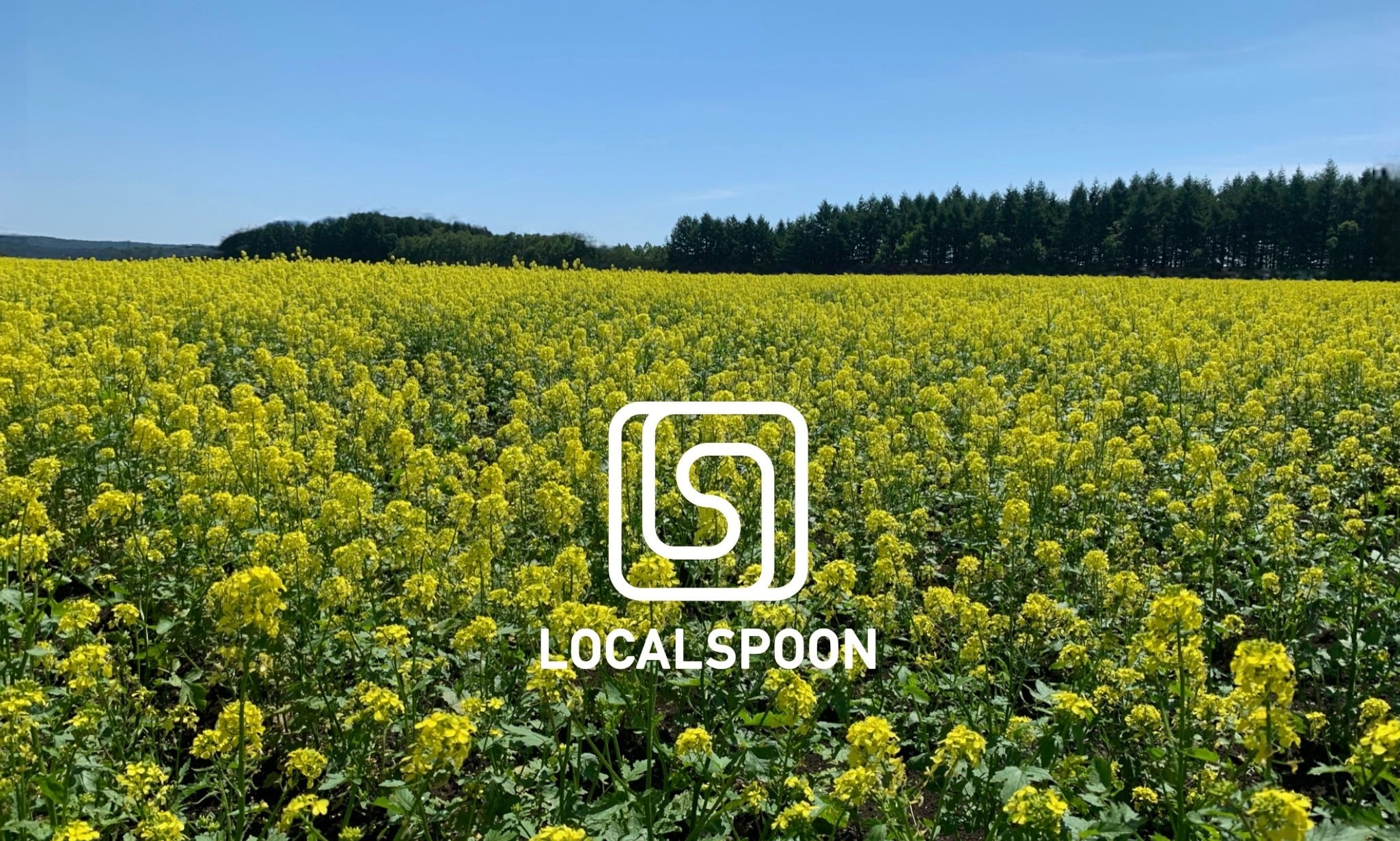 LOCALSPOON - カラダにいいもの、おいしいもの -