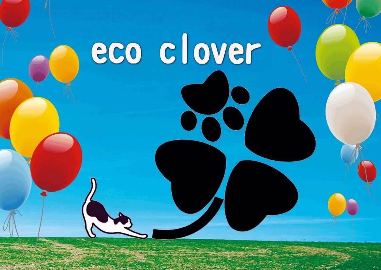 eco_clover24