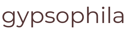 ターンロック | gypsophila