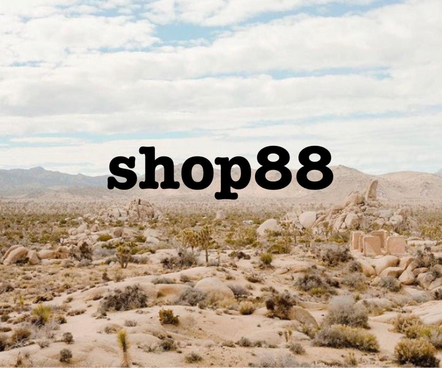 shop88