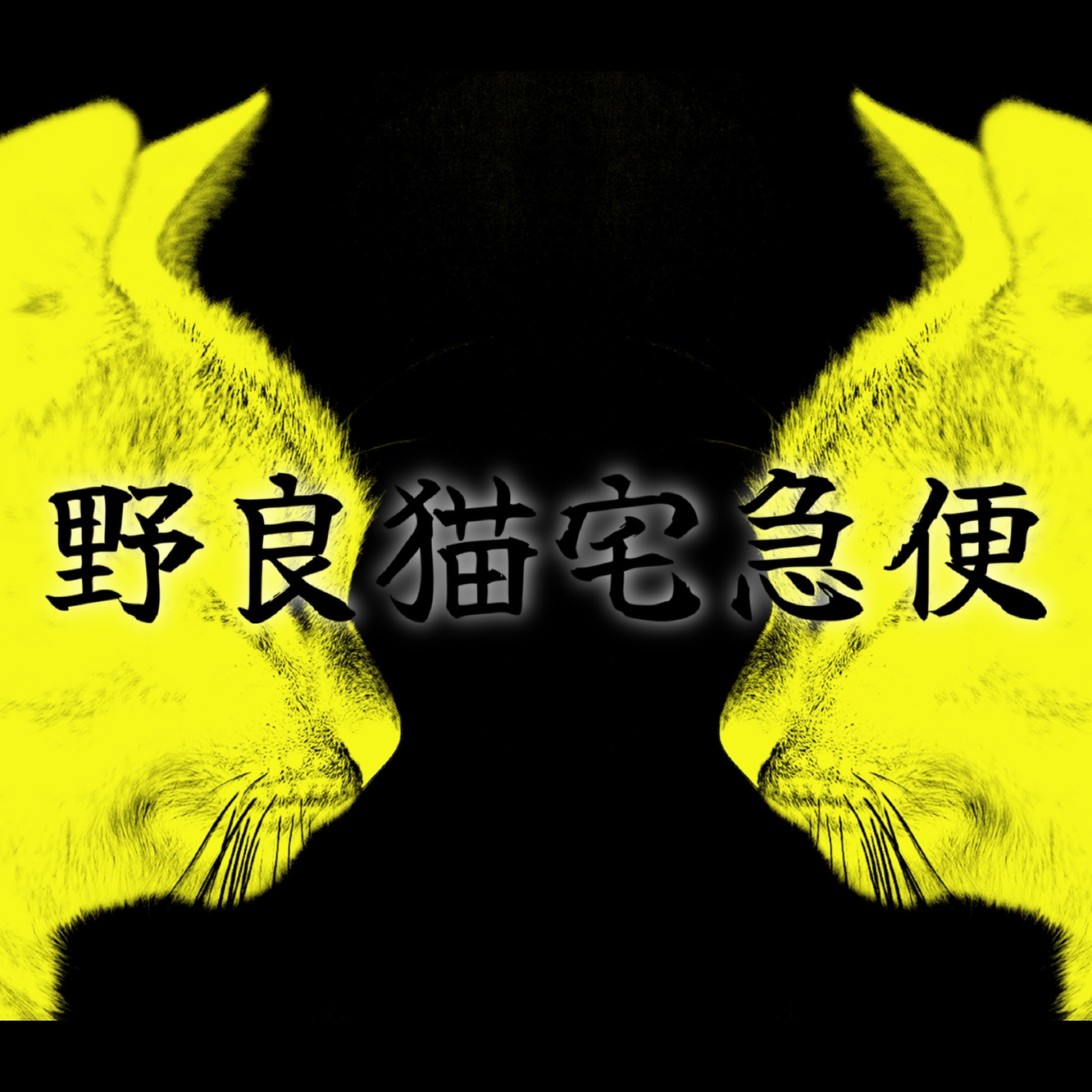 野良猫宅配便