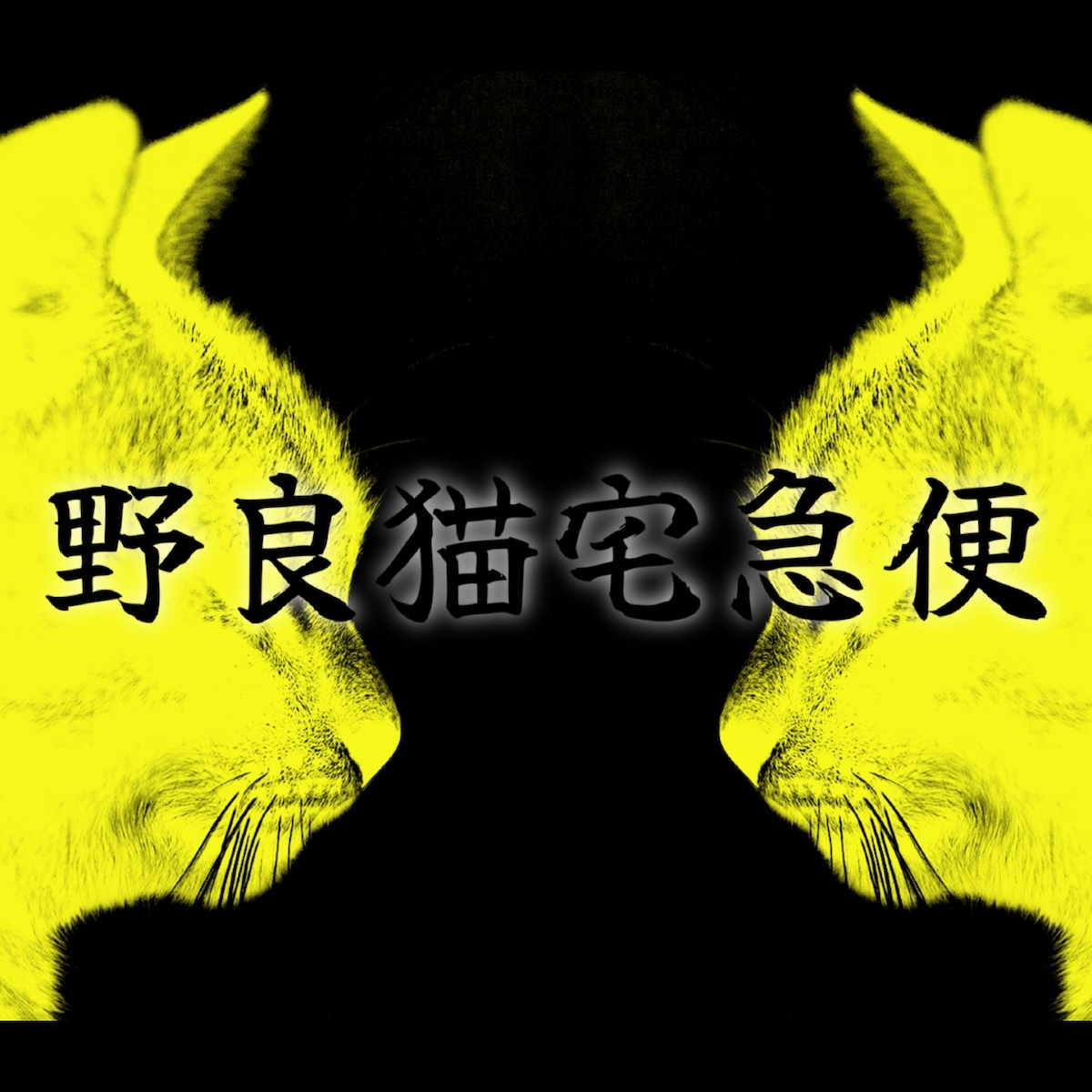 野良猫宅配便 野良猫宅配便