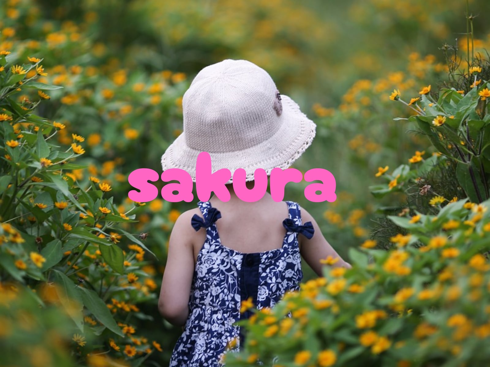 SAKURA