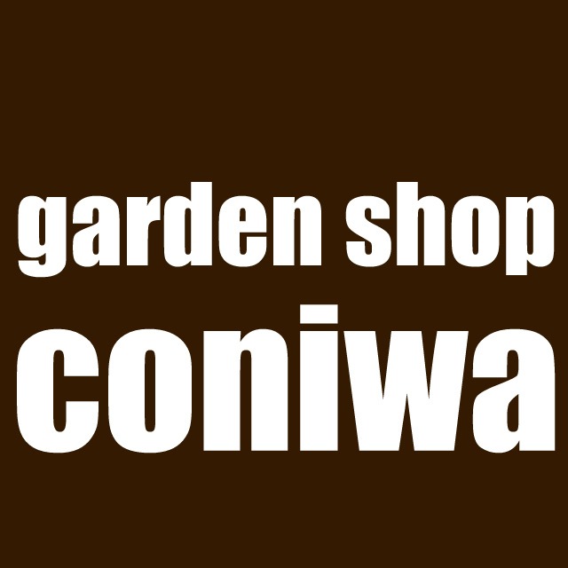coniwa多肉植物販売