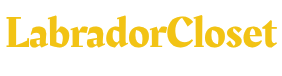 LabradorCloset