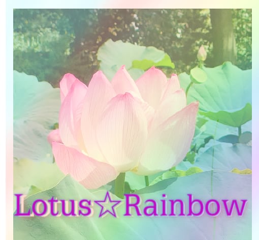 Lotus☆Rainbow
