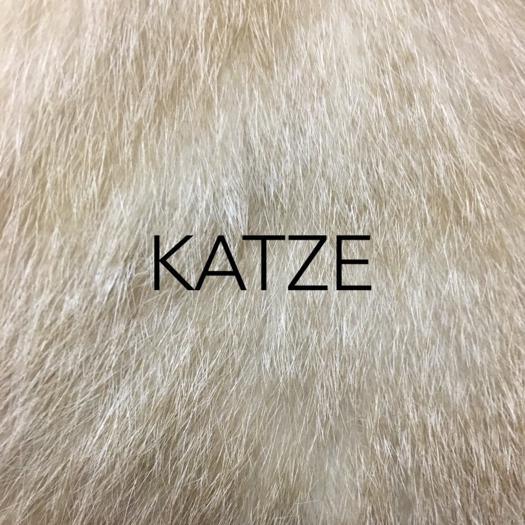 katze