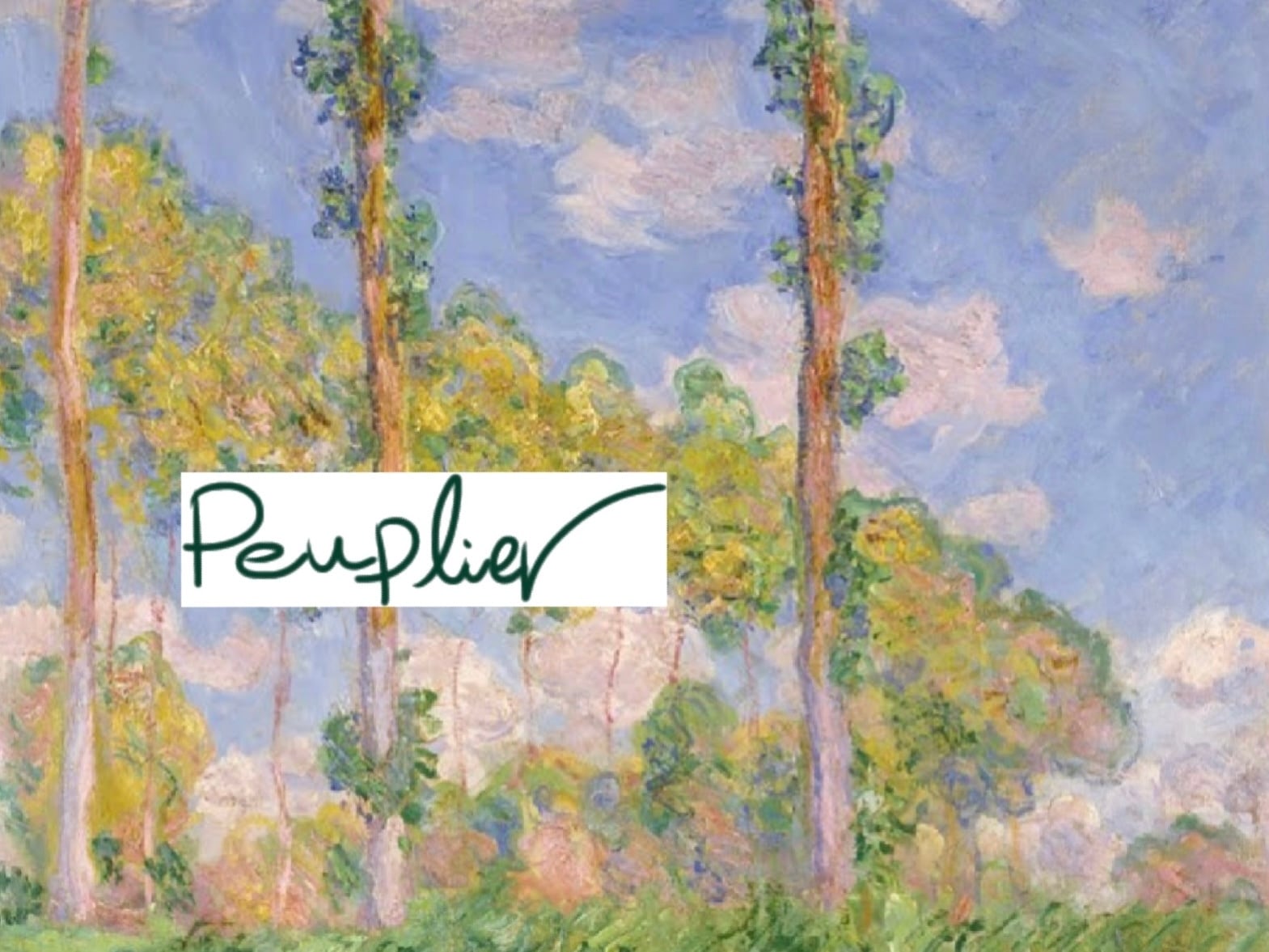 peuplier      used/art  secret shop