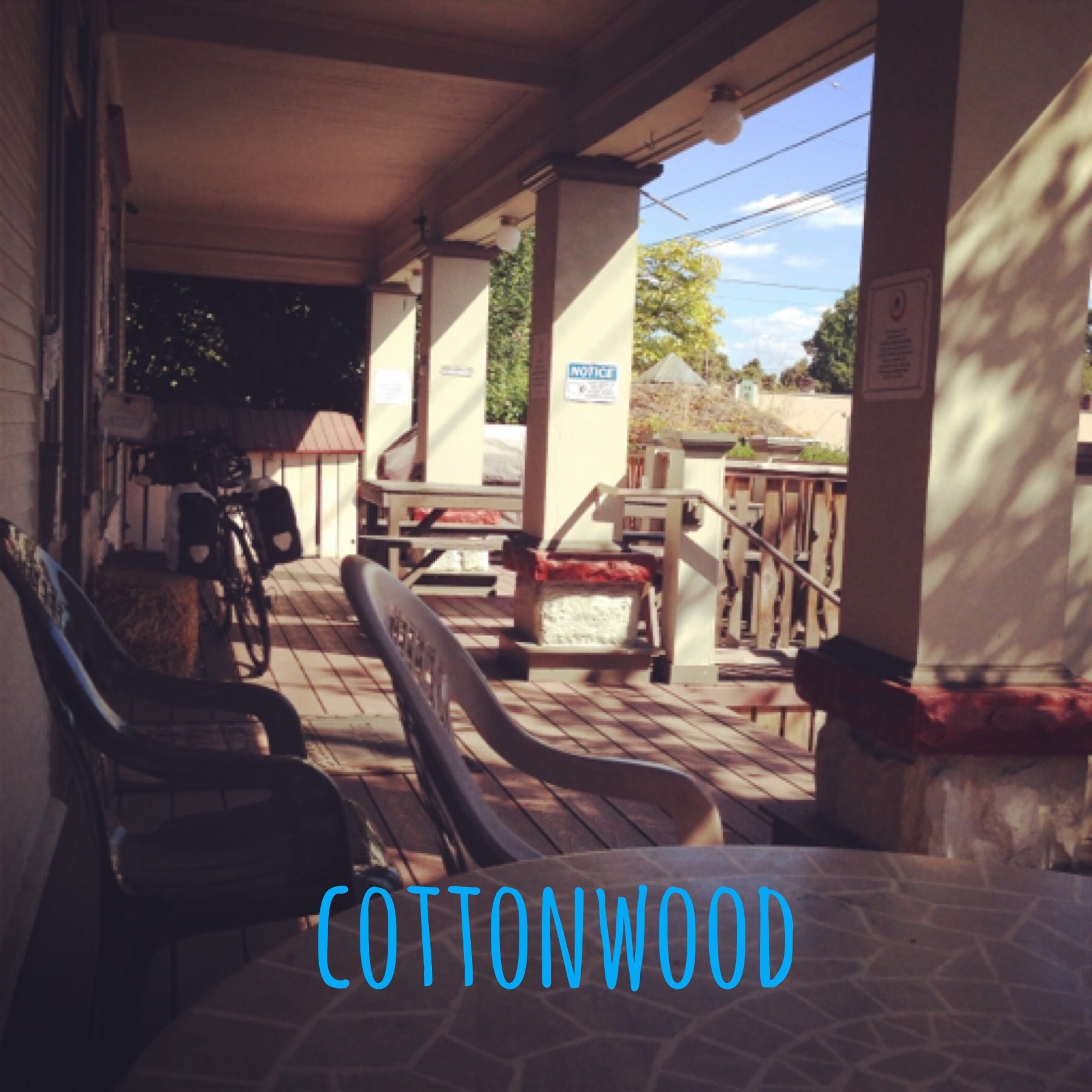 cottonwood