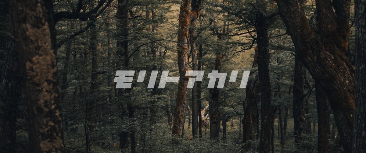 モリトアカリ　キャンドルショップ