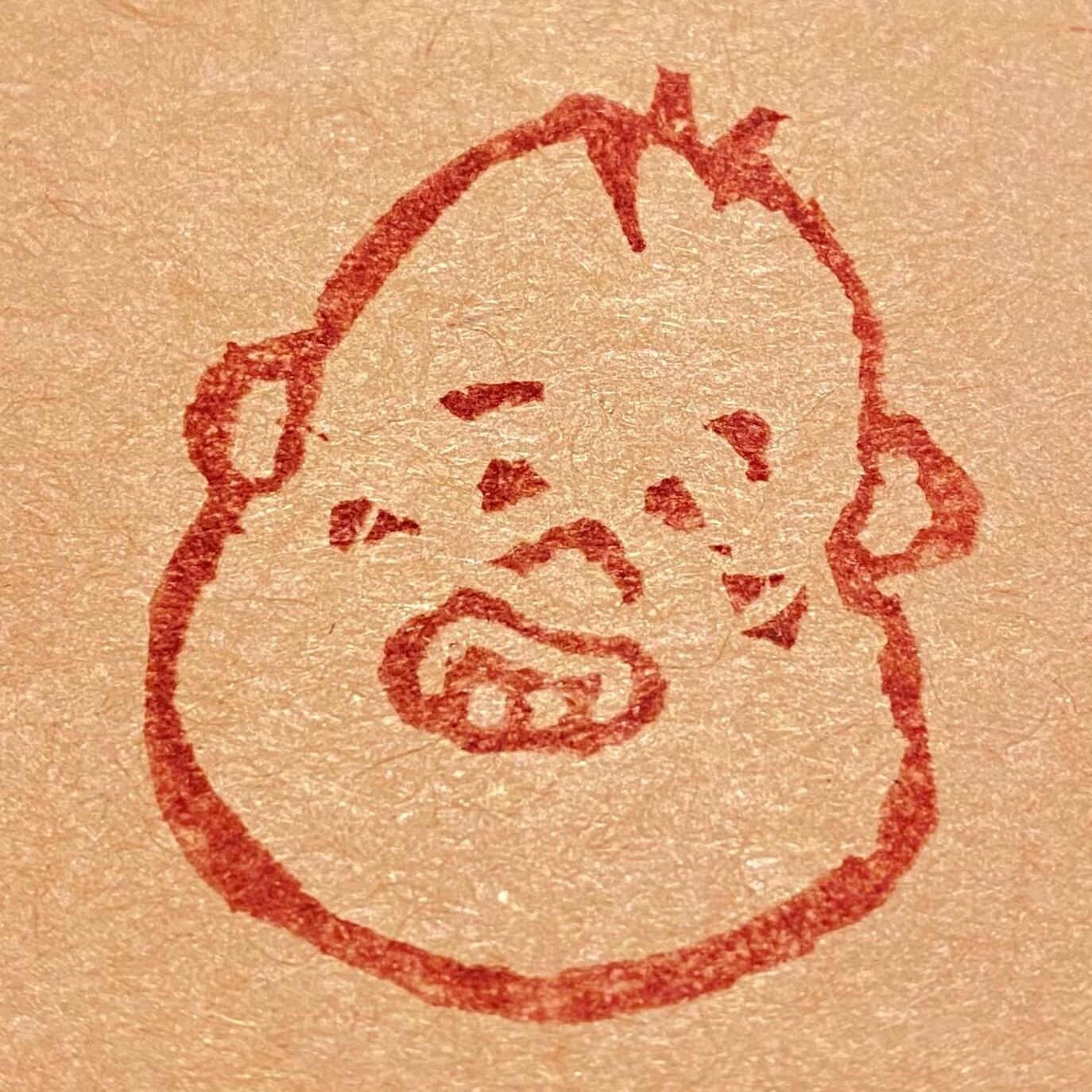 coco-pig