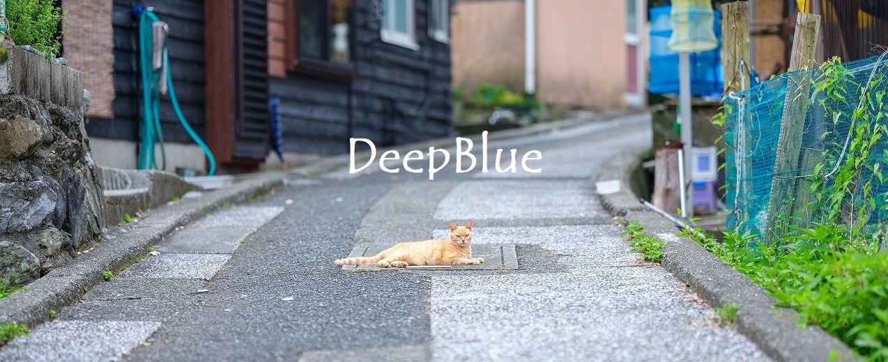 deepblue55