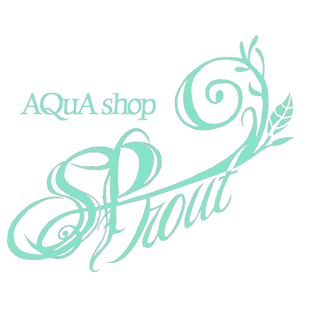 AQUA SHOP sprout