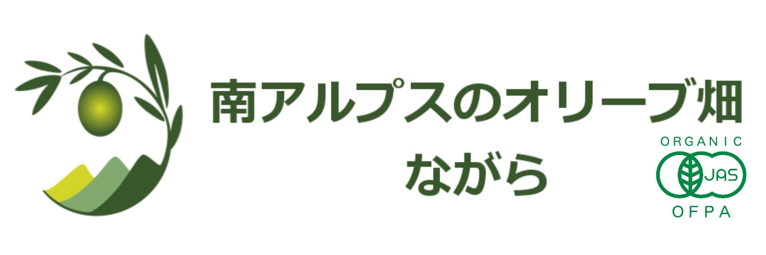 南アルプスのオリーブ畑　ながら