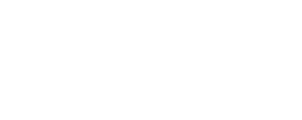 DICE vintage shop