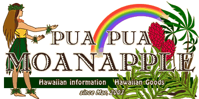 MOANAPPLE(モアナップル)