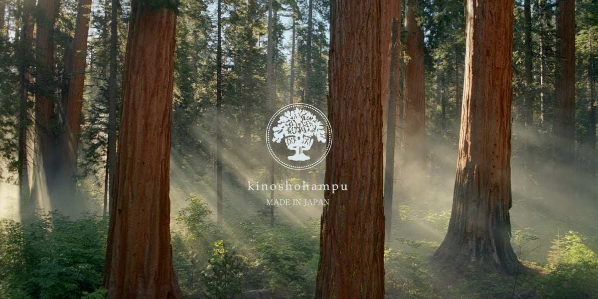 kinoshohampu