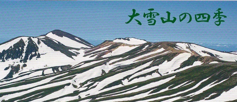大雪山の四季カレンダー