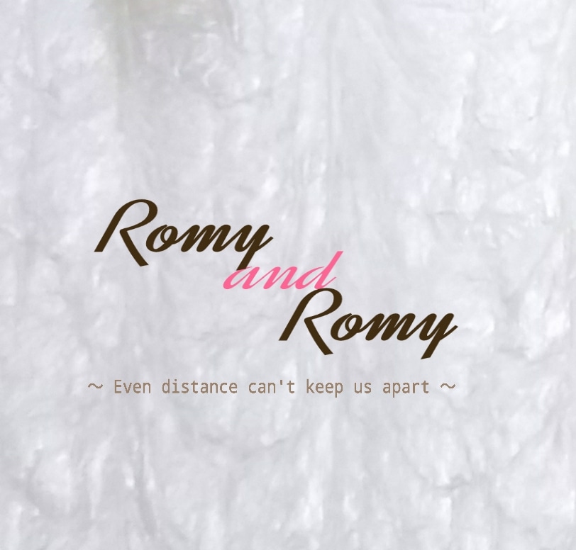 RomyandRomy 