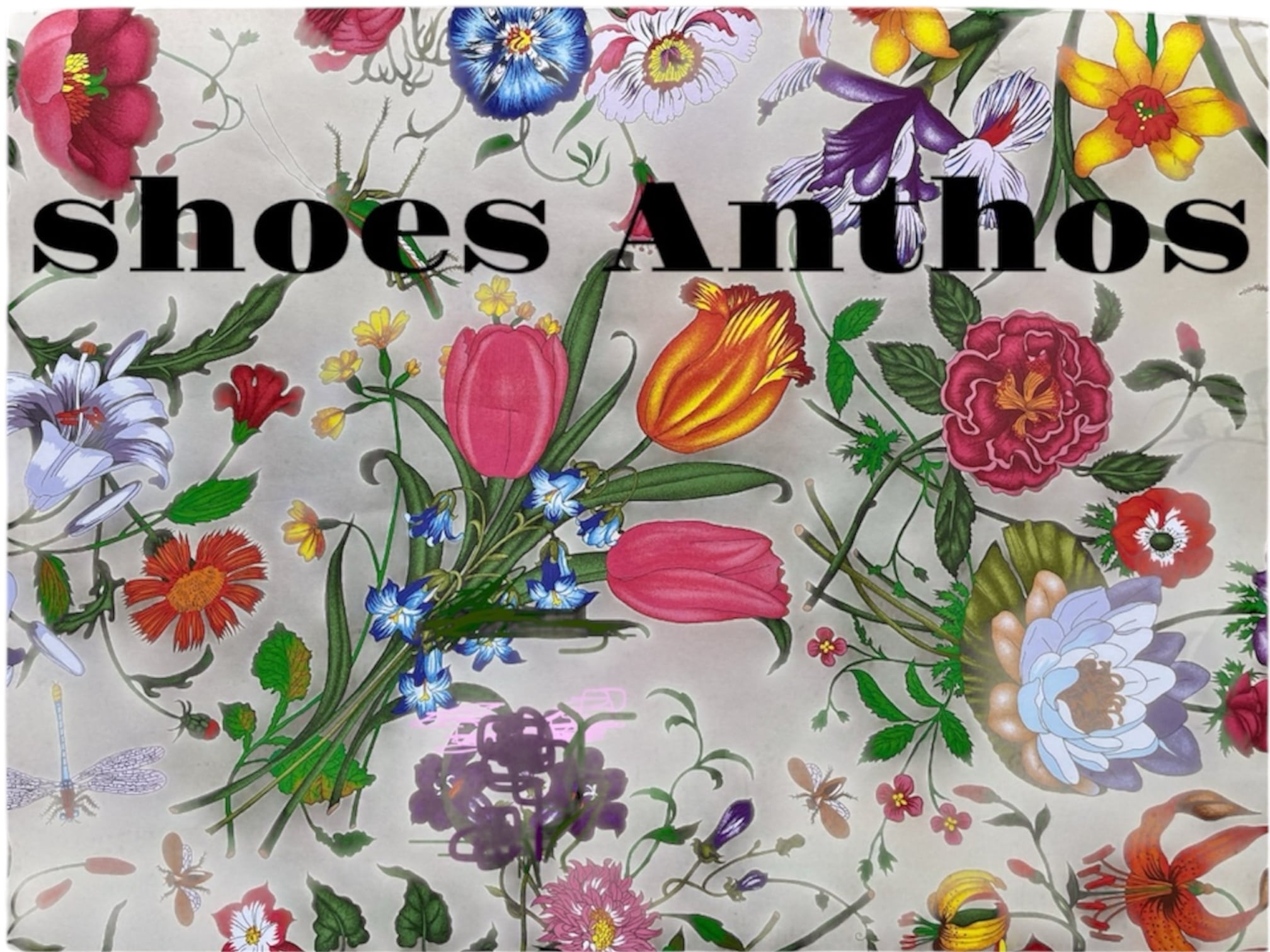 shoes Anthos