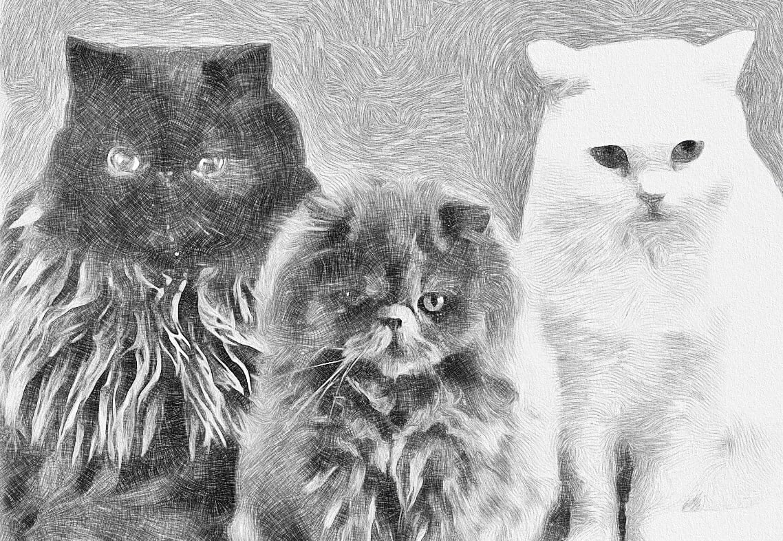 一番輝いていた時Tシャツ | OTEFUCAT's STORE