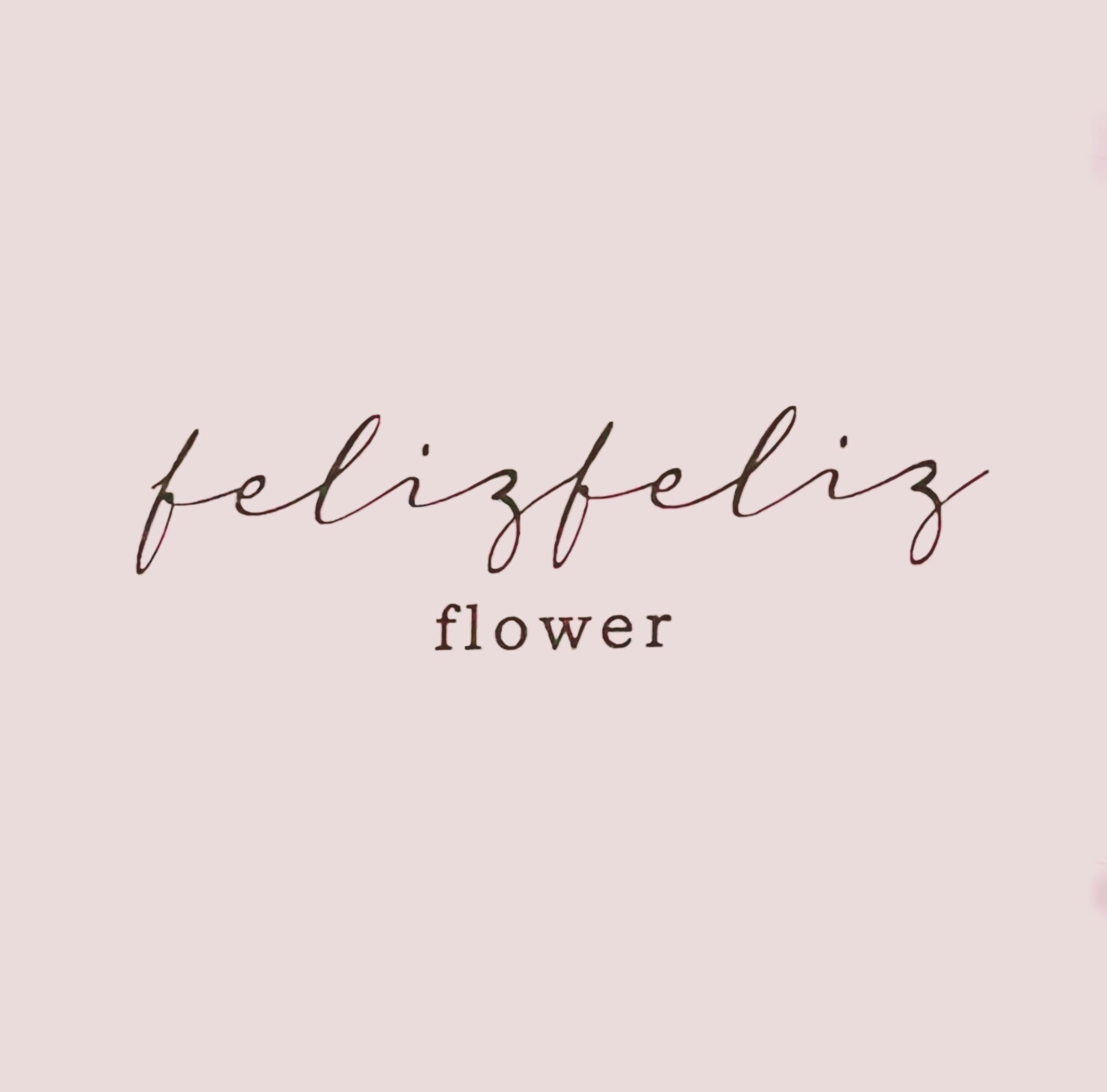felizfeliz  