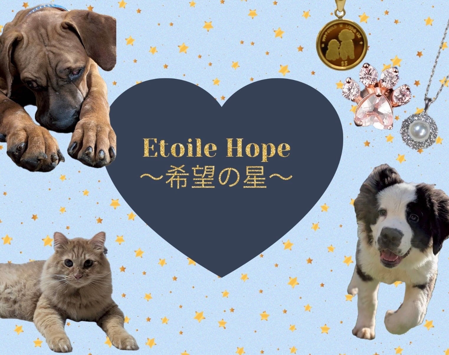 Etoile Hope〜希望の星〜