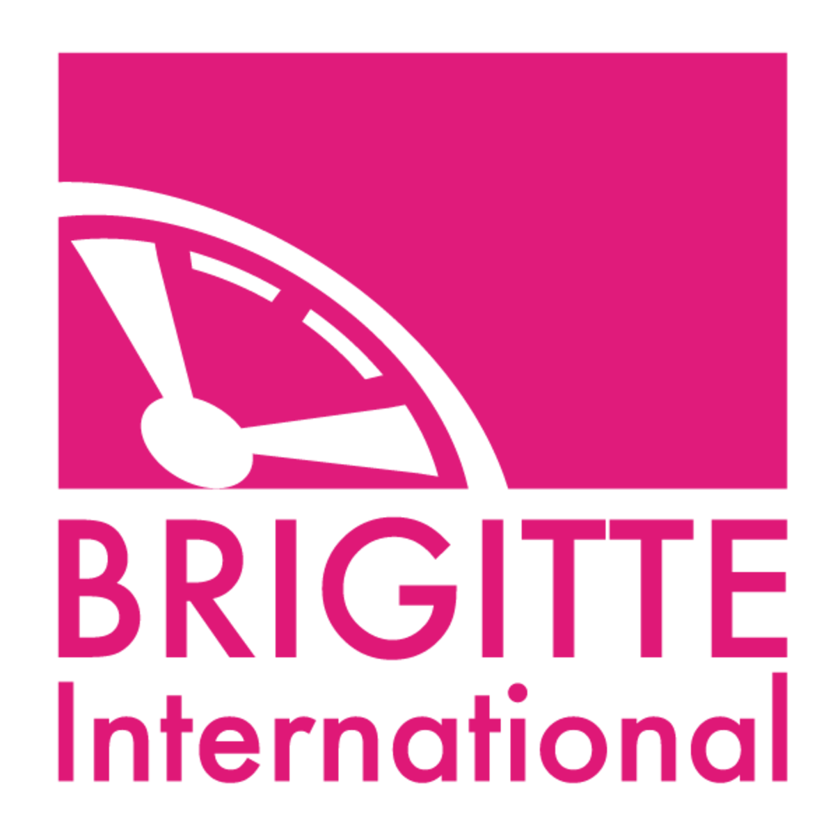 shop.brigi10.com