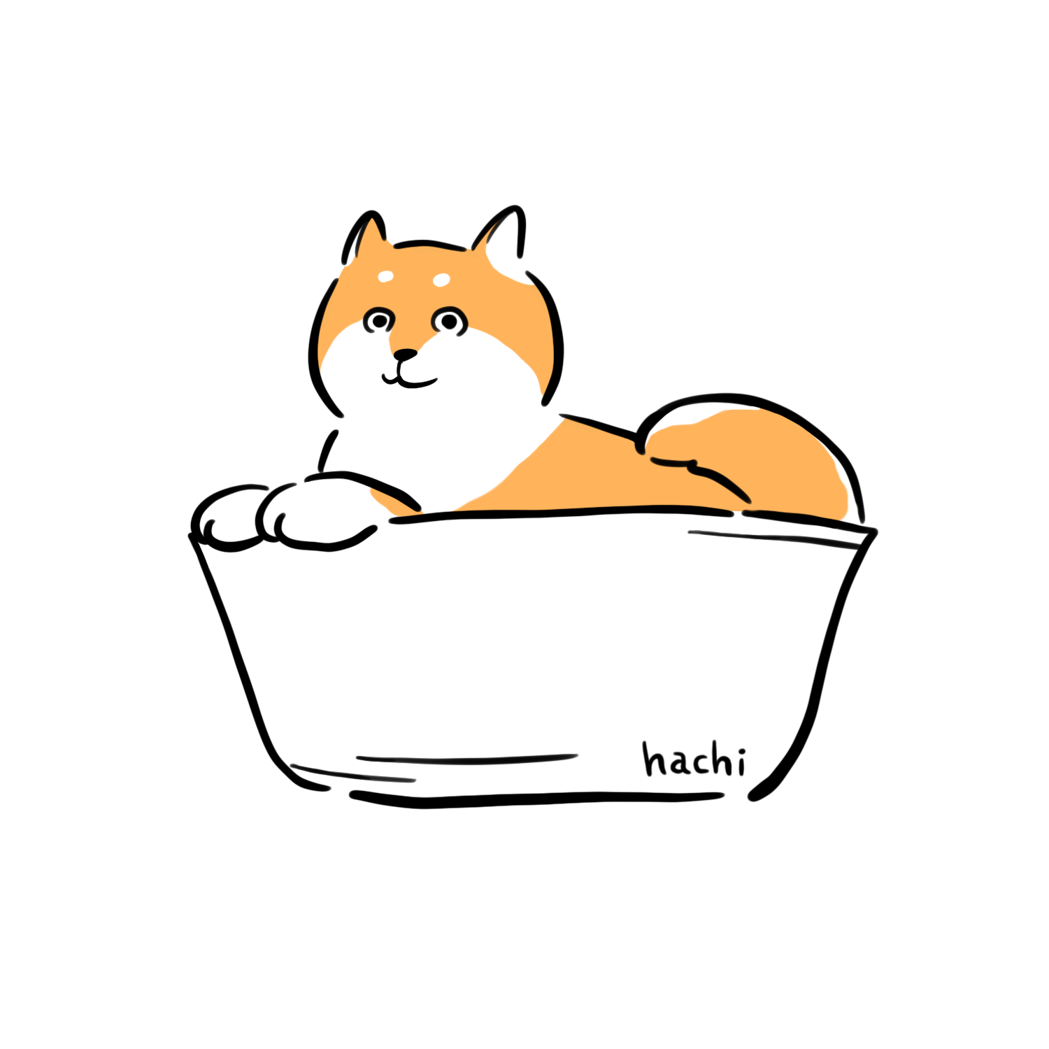 食器と雑貨hachi