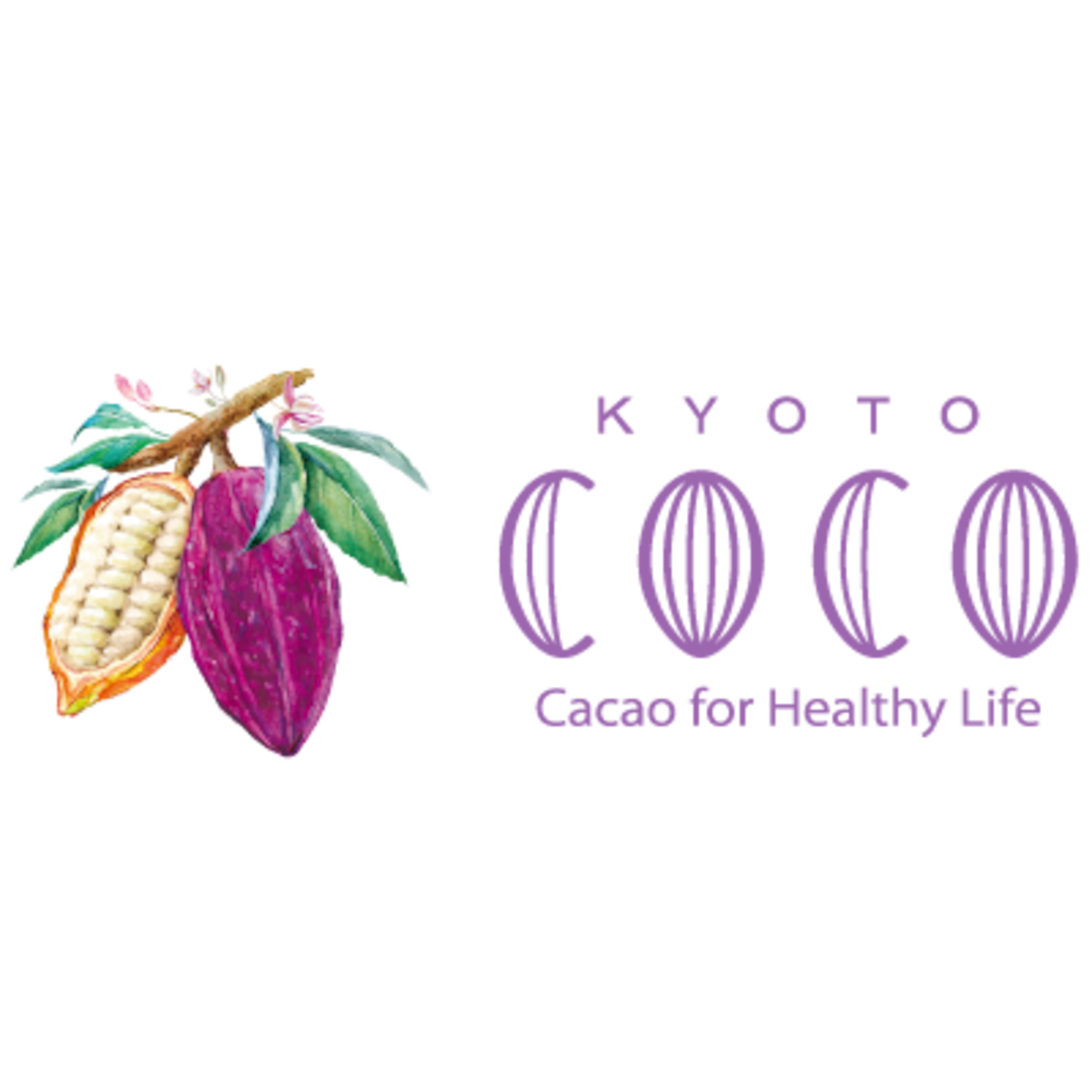 shop.coco-cacao.jp