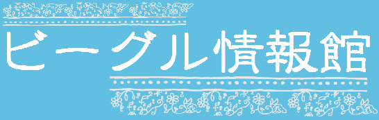 ビーグル情報館のお土産置き場