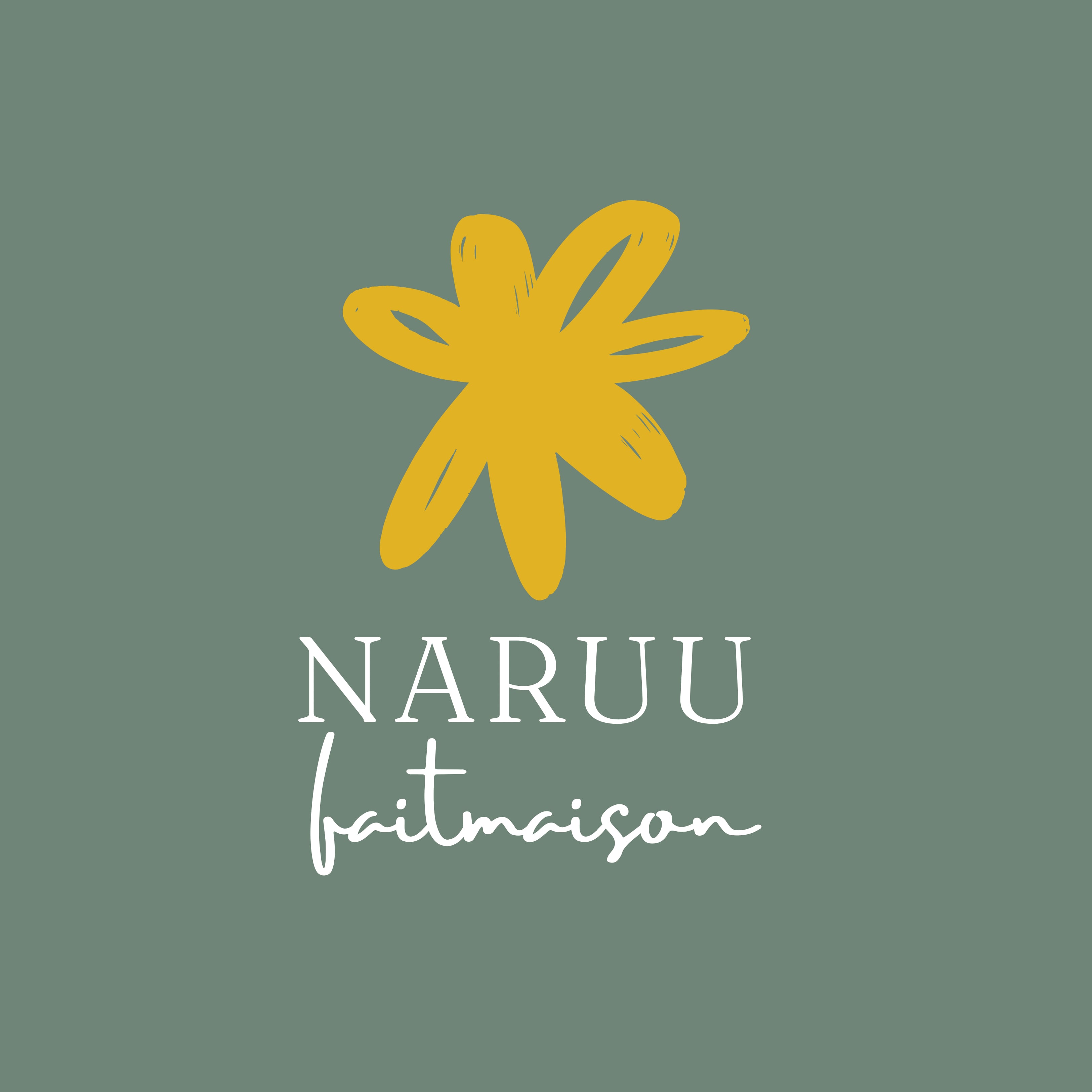 naruu.faitmaison