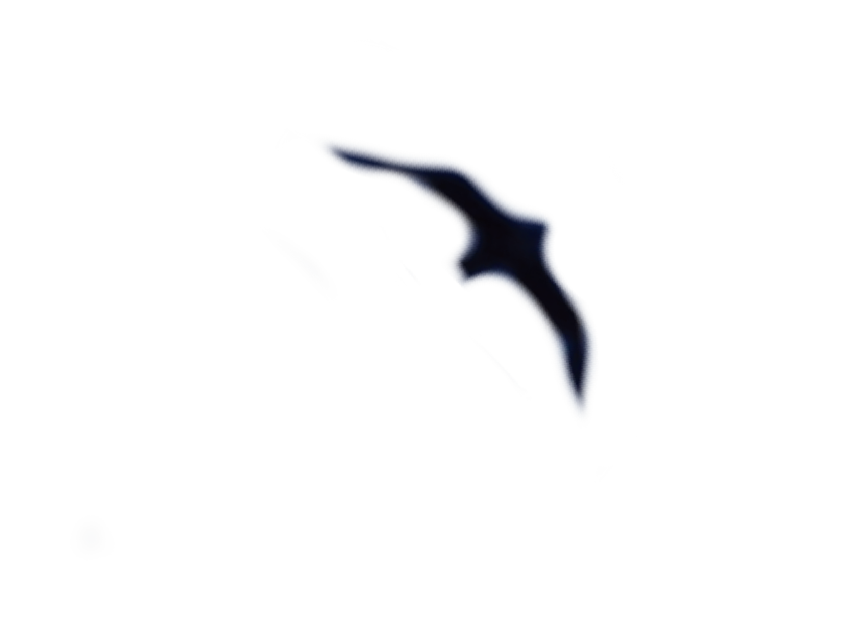 RENEGADES