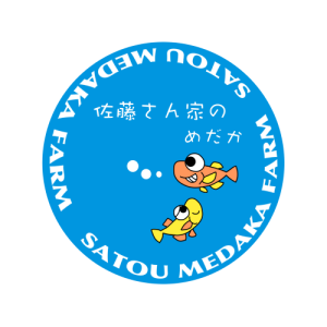 佐藤さん家のめだか