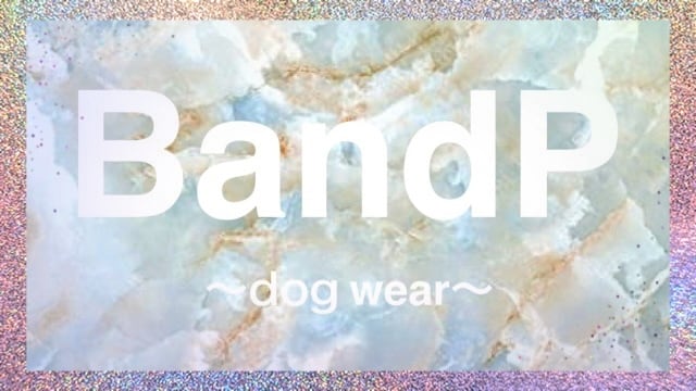 BandP〜dog wear〜 【 わんこのお洋服】  犬服 ペット服