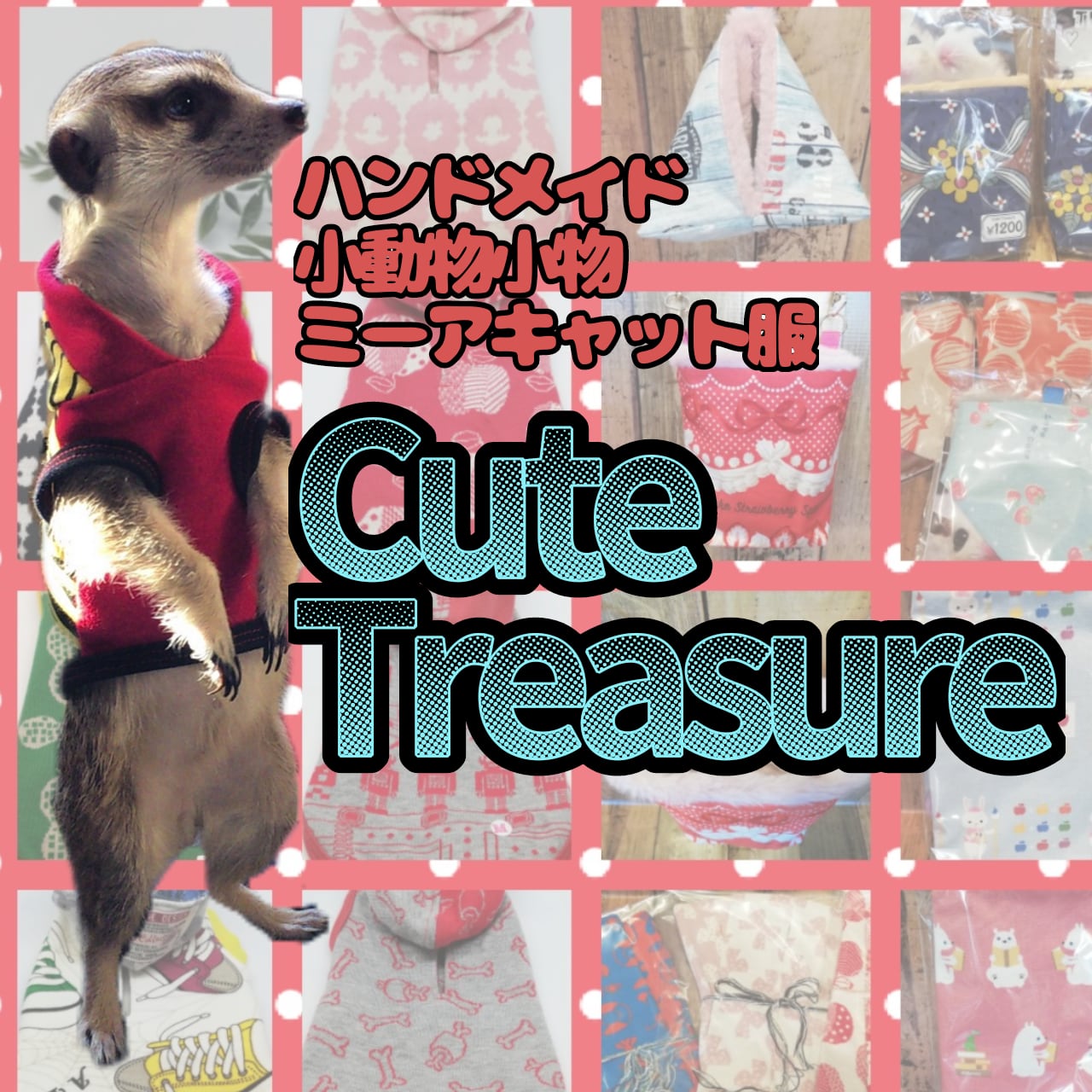 Cute  Treasure